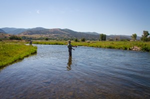 Fly fishing on the weber river