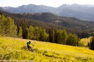 Mountain Biking Wasatch Mountains