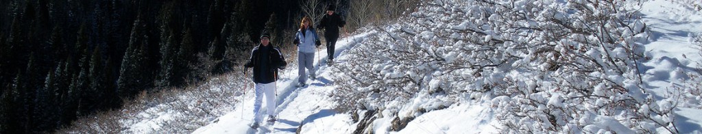 PArk City snowshoeing basics