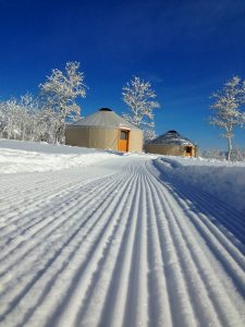 Park City dog sledding location