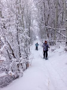 All Seasons Adventures snowshoe tour, 1 of the top ten Park City Local Adventures.