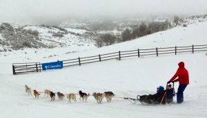 All Seasons Adventures dog sledding