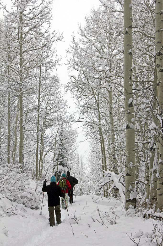 Sundance Film Festival activities