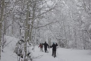 Snowshoe tours, Park City, Utah