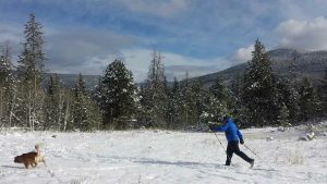 Cross country skiing, Park City, UT