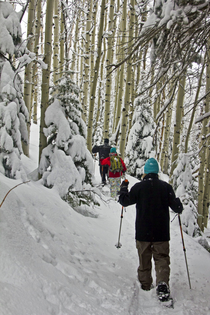 Snowshoeing Park City Utah All Seasons Adventures 