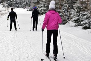 Cross Country Skiing