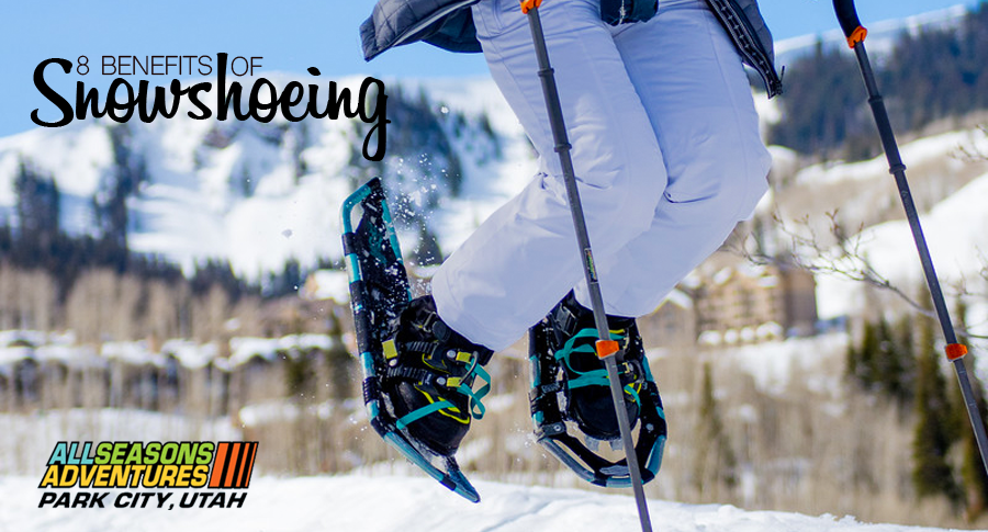 Benefits of Snowshoeing