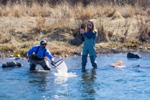 Having an experienced guide along will increase your chances of landing a trout, here a first time angler is doing everything right.