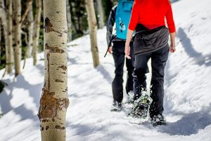 Snow Shoeing