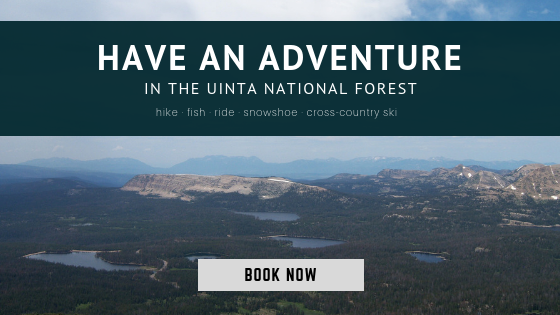 uinta national forest adventures