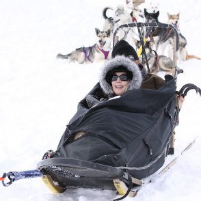 Dog Sledding Tours Park City