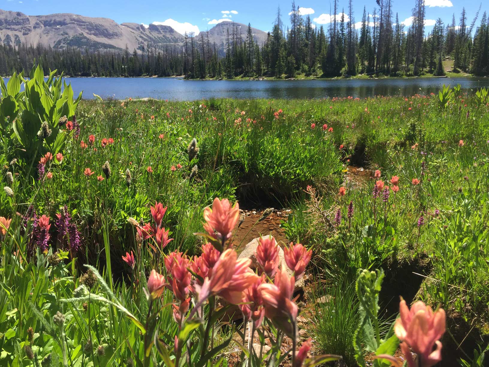 Nature Hikes Park City