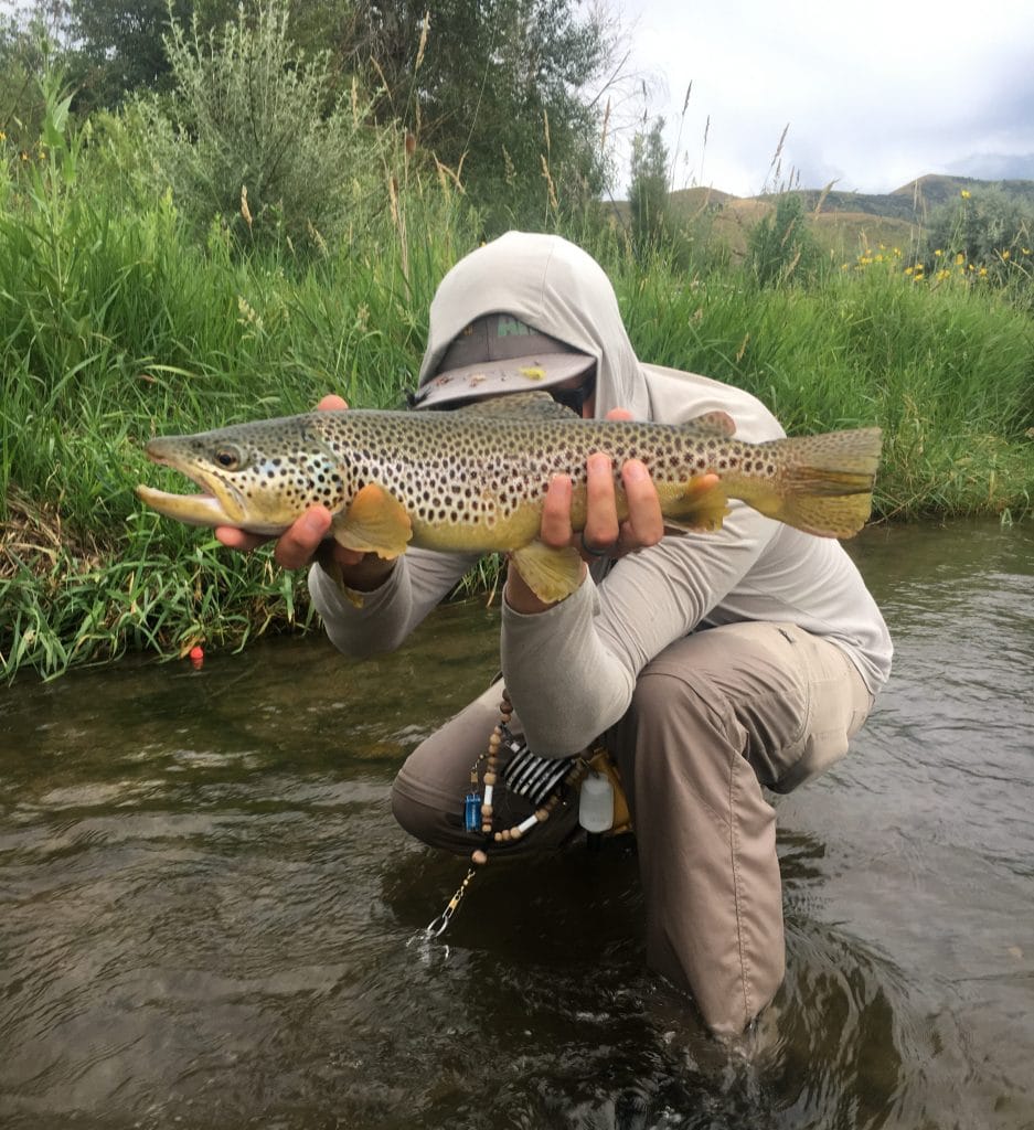 Native Bonneville Cutthroat Trout in Utah Rivers