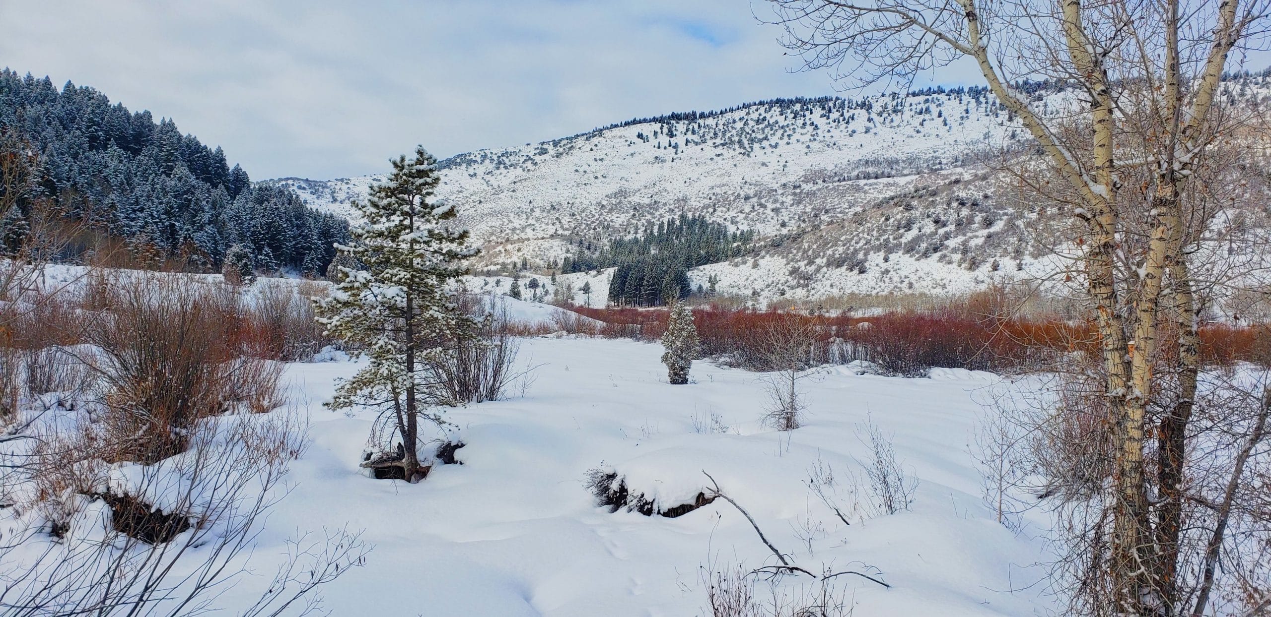 Park City Avalanche Information for Visitors All Seasons Adventures