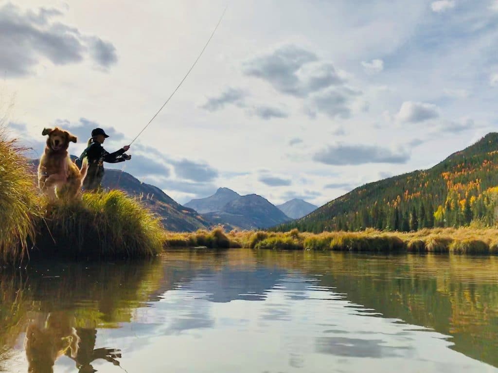 Golden retriever and angler fishing from the banks of a stream in the Uinta National Forest