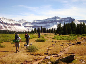 Hike Utah's highest point, Kings Peak