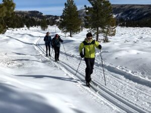 uinta national forest guided tours